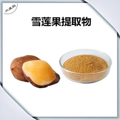 清潤(rùn)雙鮮 雪蓮果提取物與龍眼的滋養(yǎng)搭配