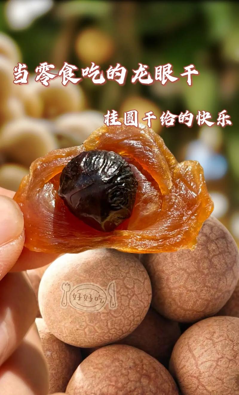 桂圓干的暖意 關于味道、記憶與傳承的愛