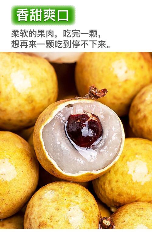 龍眼 南國(guó)珍果的千年甜蜜